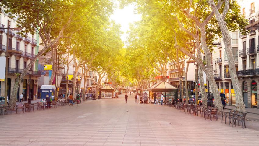Que faire à Barcelone ? Las Ramblas, la rue la plus connue de Barcelone