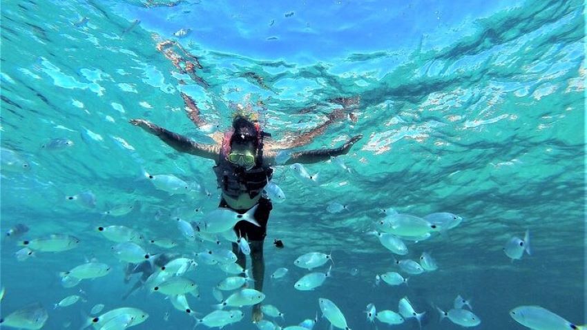 snorkeling Ibiza